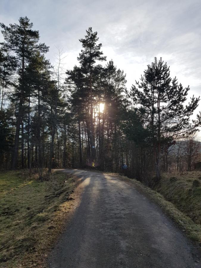 Domek Na Folwarku Tarnawa Dolna  Buitenkant foto
