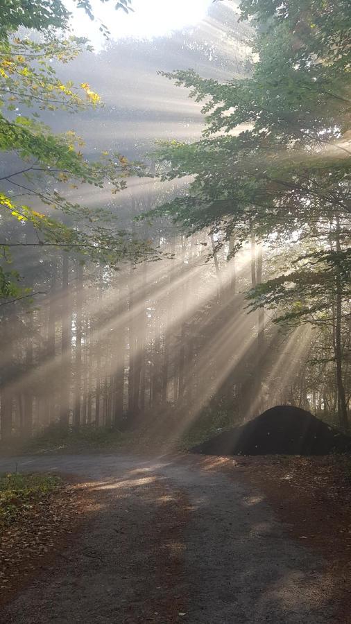Domek Na Folwarku Tarnawa Dolna  Buitenkant foto