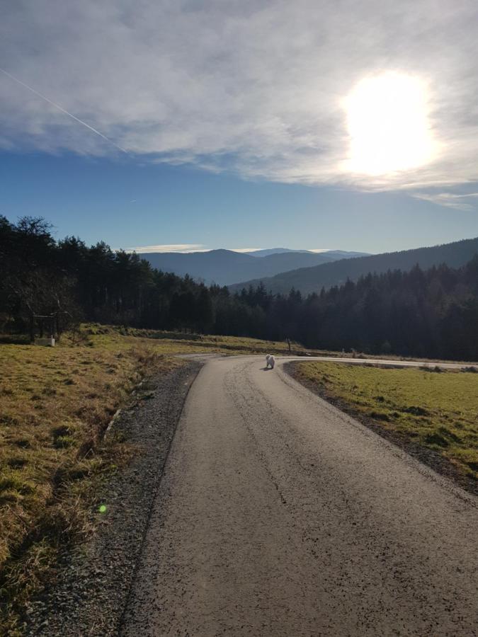 Domek Na Folwarku Tarnawa Dolna  Buitenkant foto