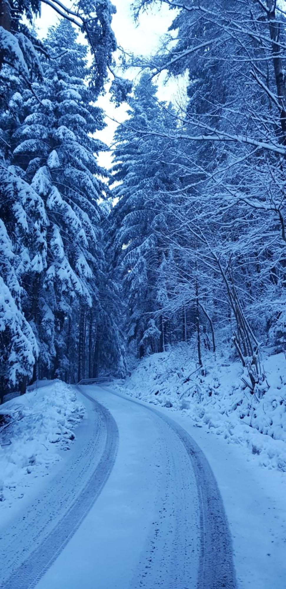 Domek Na Folwarku Tarnawa Dolna  Buitenkant foto
